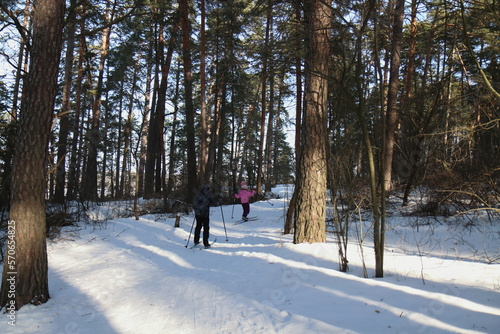 A boy and a girl are skiing in a pine forest in the village of Solotcha, Ryazan Region