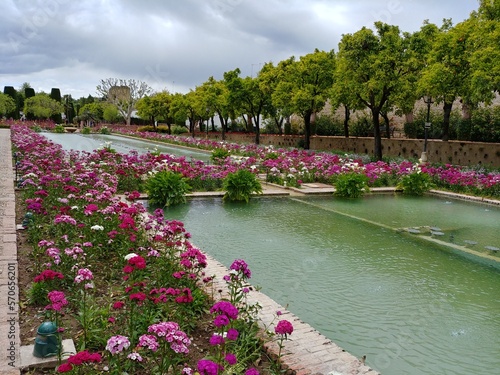 the garden of  the Alcázar of Córdoba photo