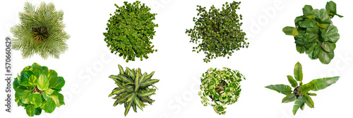 top view indoor decoration potted plants isolated on transparent or white background, photoreal 3d render