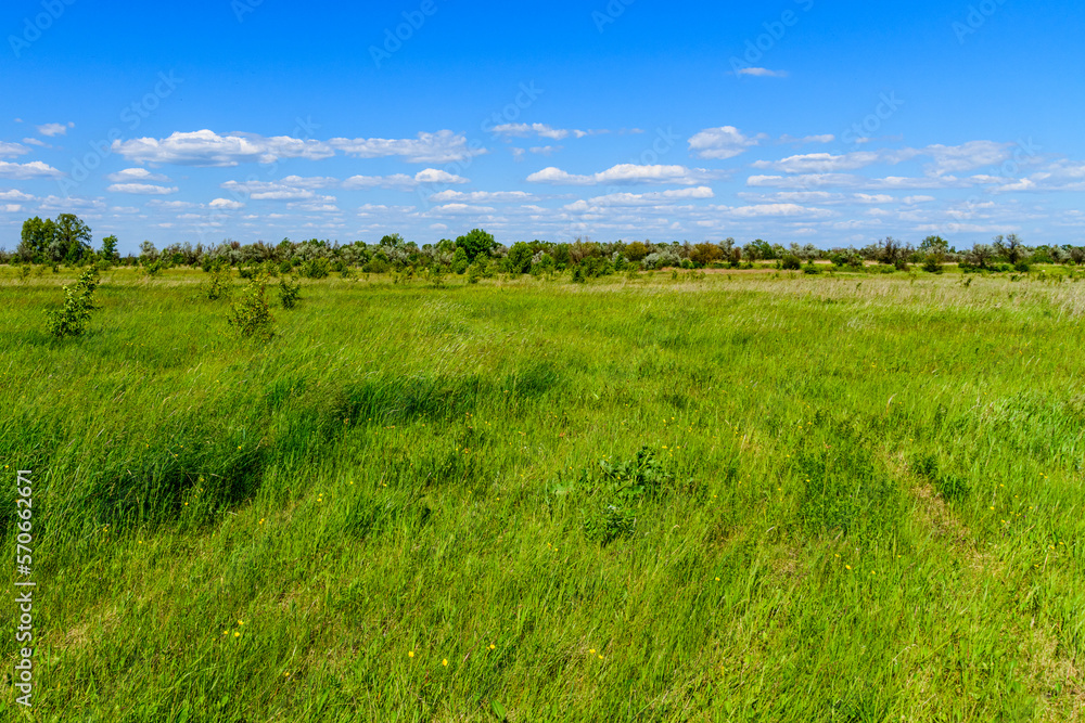 View of the wide green meadow on spring View of the wide green meadow on spring