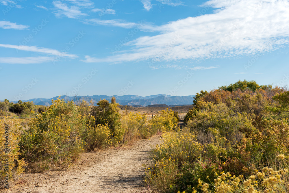 High desert path in western Colorado