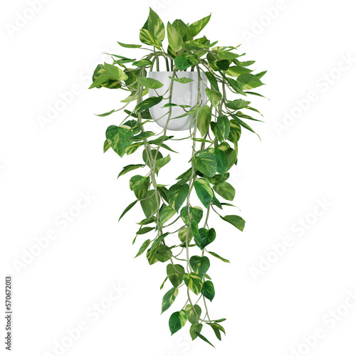 indoor decoration plant in pot, isolated on transparent or white background, photoreal 3d render