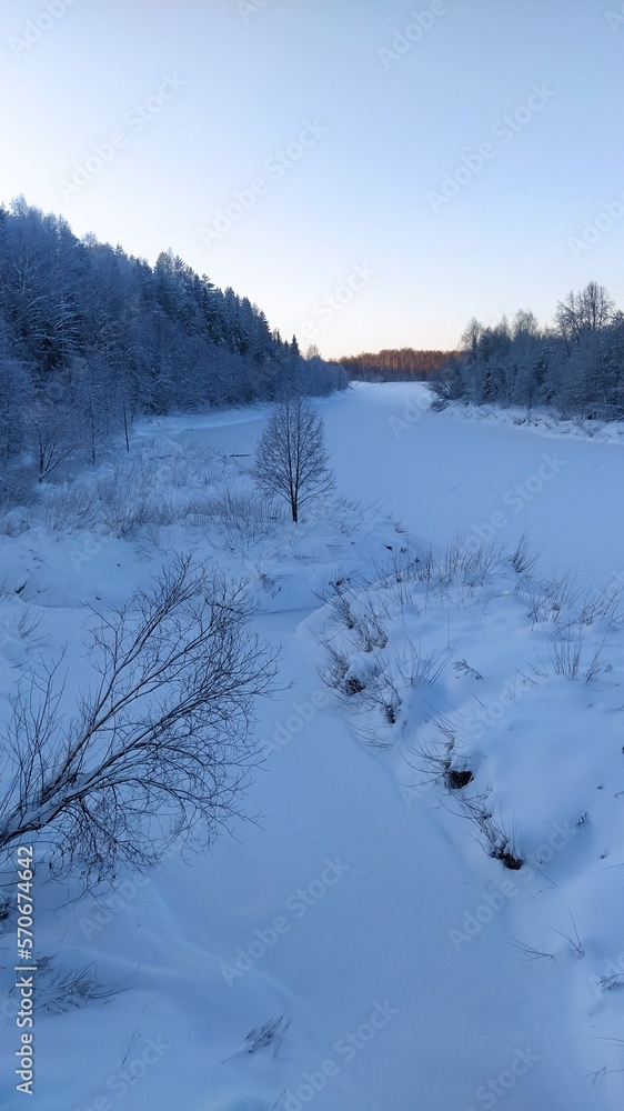 Frozen river on the background of the winter forest