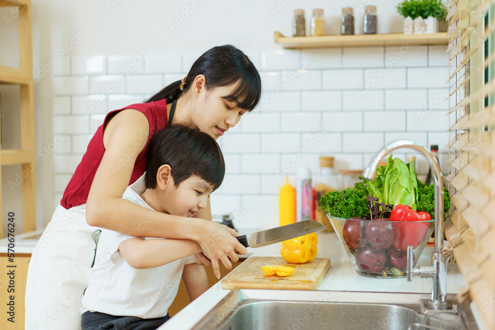 Happy cheerful mother and her little boy preparing a foods and vegetables in domestic kitchen together. Mum teaching her little son to cooking in kitchen. Happy cheerful mother and her little boy preparing a foods and vegetables in domestic kitchen together. Mum teaching her little son to cooking in kitchen.