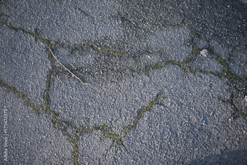fissure on gray asphalt, gray asphalt erosion, soil split from tree roots on a concrete surface, texture of break cracks, gray concrete color background green moss in asphalt cracks, wet fracture