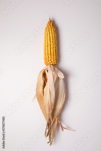 Dry corn cob on white background, dried maize cob photo