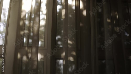 Wallpaper Mural Tree shadows sway in the wind on the curtain. Vintage sepia colors. 4K Torontodigital.ca