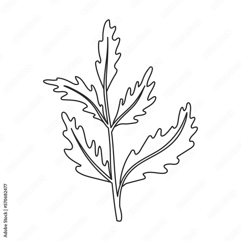 Poppy flower vector outline icon. Vector illustration poppy on white background. Isolated outline illustration icon of elower. Poppy flower vector outline icon. Vector illustration poppy on white background. Isolated outline illustration icon of elower.