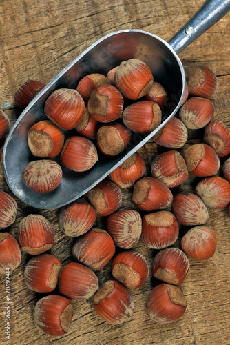 Portion of hazelnuts in a metal spoon on a wooden table.