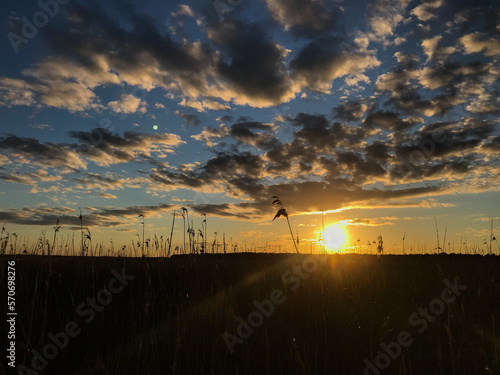 Summer day with a beautiful sunset on the horizon with reeds and clouds on a blue sky. View of the natural landscape. Travel, tourism and vacation concept