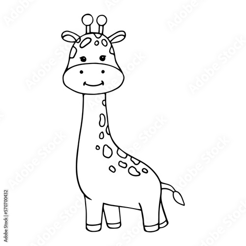 Linear sketch, coloring of a small cute animal of the African savannah, the giraffe. Vector graphics.