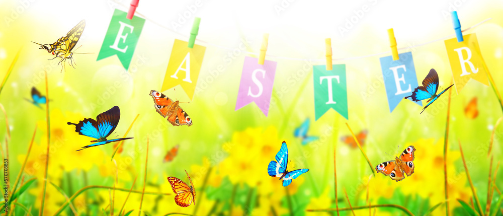 Beautiful Easter background with colorful Easter eggs Beautiful Easter background with colorful Easter eggs