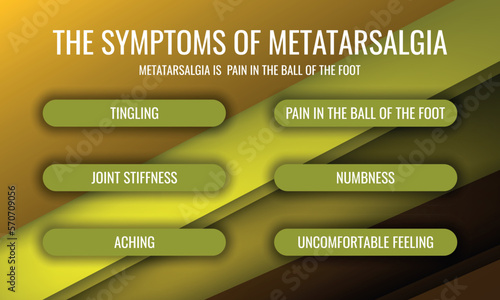 the symptoms of Metatarsalgia. Vector illustration for medical journal or brochure. photo