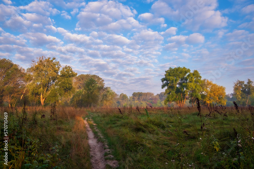 Fototapeta Naklejka Na Ścianę i Meble -  autumn landscape with trees and clouds