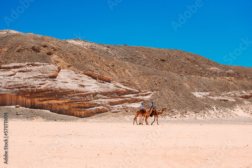tourists riding camels in a egypt desert