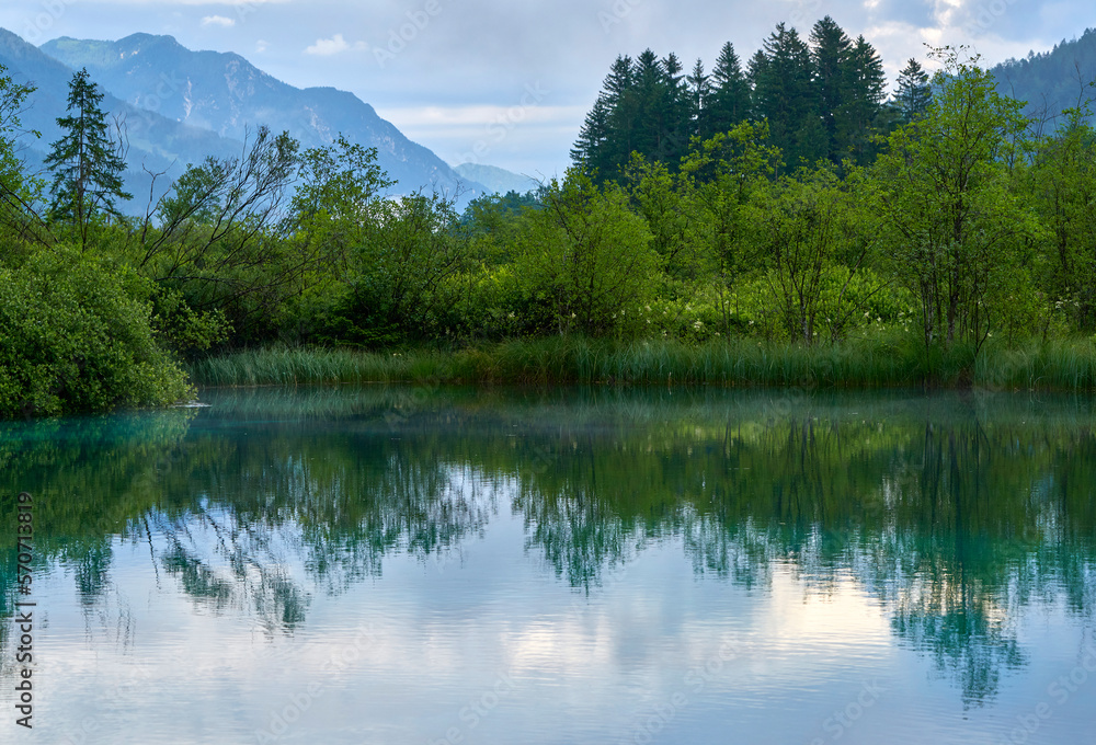 Clear waters of a small lake on a rainy day in Zelenci nature reserve, Slovenia