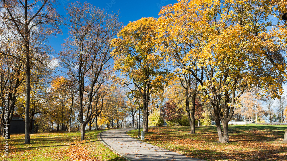 Walking path in the autumn park