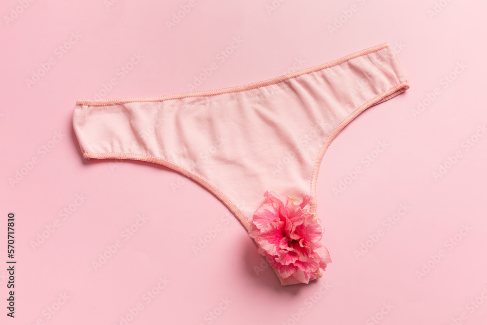 The concept of the reproductive organs of a woman, the vagina in the form of panties. The concept of the reproductive organs of a woman, the vagina in the form of panties.