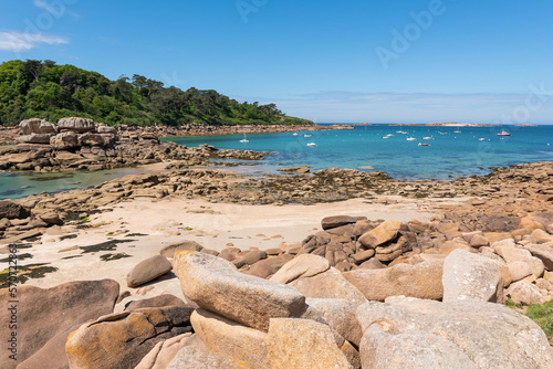 Milliau island and the coast near the harbor of Trebeurden (Trebeurden, Cotes d'Armor, Bretagne, France)