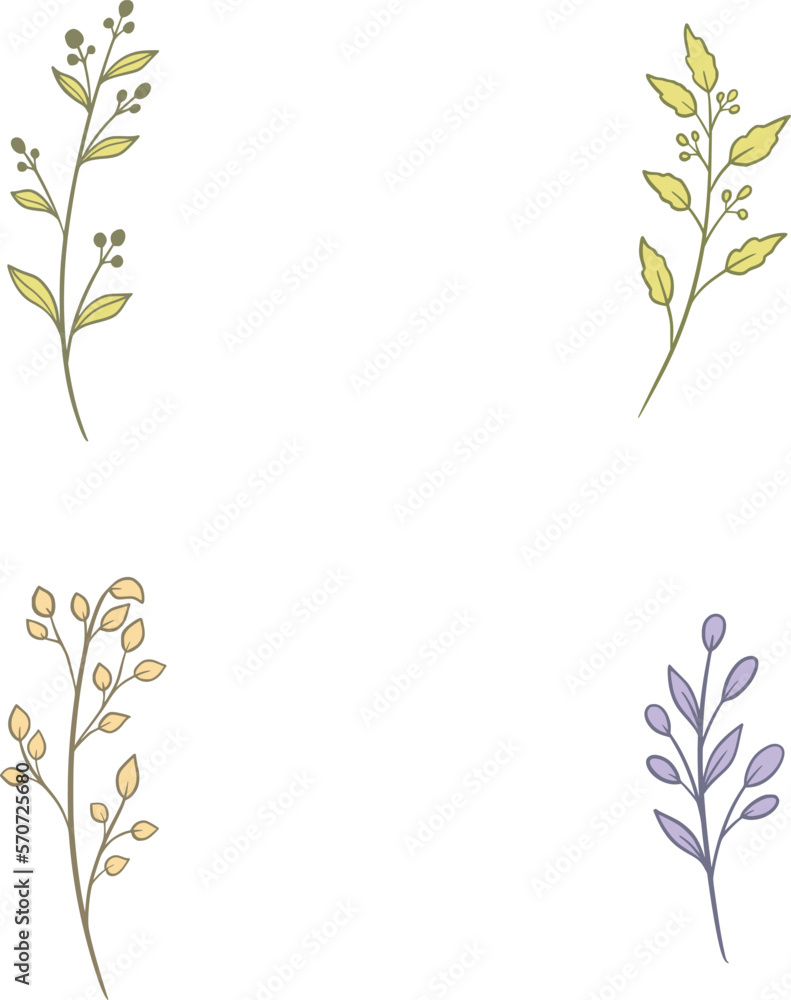 Botanical color illustrations, vector set with drawn leaves, herbs and flowers, collection of flowers isolated on a white background