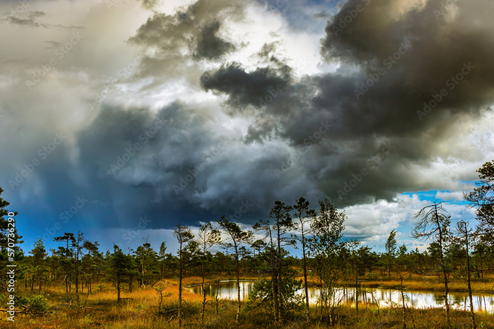 Nature before the storm. Warm summer day. The beauty of nature. Landscape of a national park before a thunderstorm. Heavy dark beautiful blue clouds, blue lake and green grass and trees. Nature before the storm. Warm summer day. The beauty of nature. Landscape of a national park before a thunderstorm. Heavy dark beautiful blue clouds, blue lake and green grass and trees.