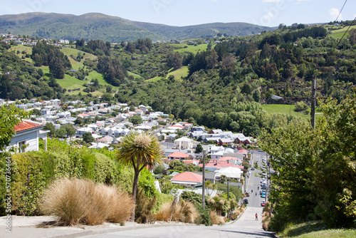 Dunedin Town View From Baldwin Street - The Steepest Street In The World
