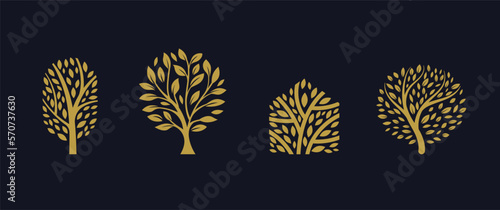 Tree symbols, icons design. Nature, trees illustration, logo concept. Luxury, modern and minimalistic style