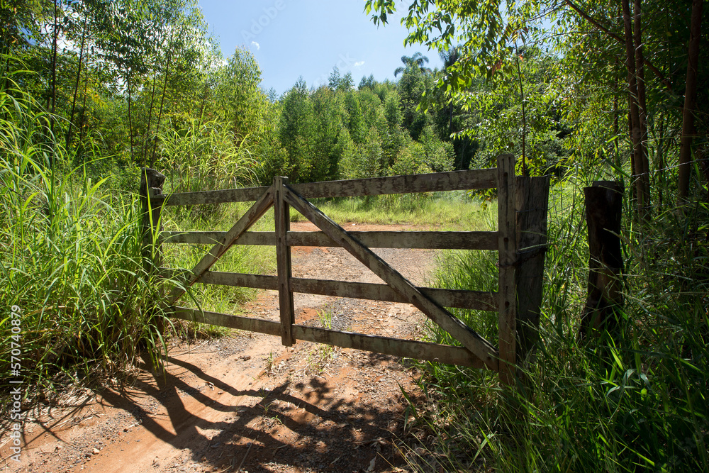 Farm gate with trees and grass on background. Countryside of Sao Paulo state, Brazil Farm gate with trees and grass on background. Countryside of Sao Paulo state, Brazil