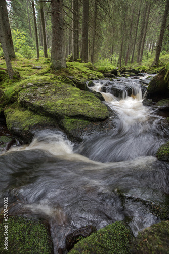 mountain stream in the forest - long exposure and flowing water