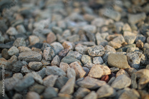 rocks on the ground textured material