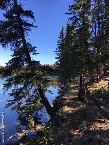lake scenery 