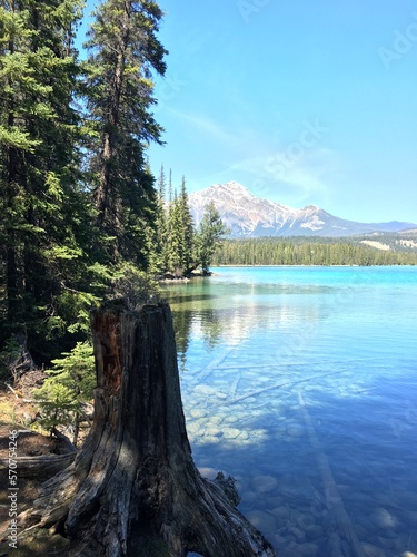 lake scenery 