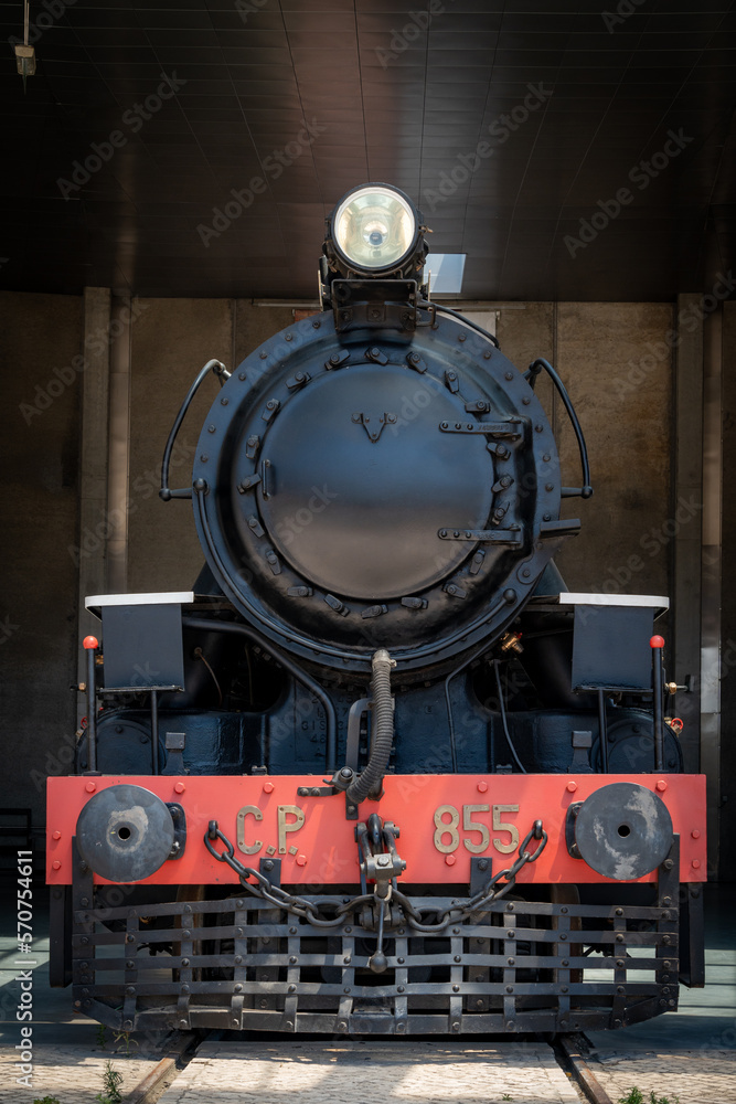 Fototapeta premium Steam train