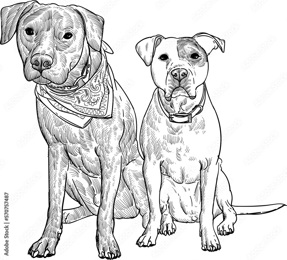 Vintage hand drawn sketch bandana Chesapeake Bay Retriever and Staffordshire Bull Terrier