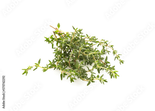 Bunch of fresh thyme isolated on white