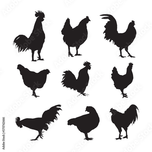 collection of black and white silhouette images of chickens