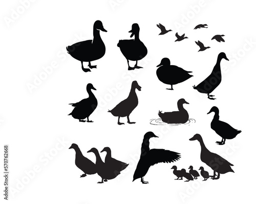 collection of black and white silhouette images of Ducks