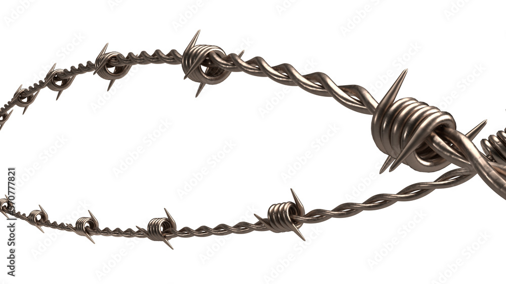 The  barbed wire png image