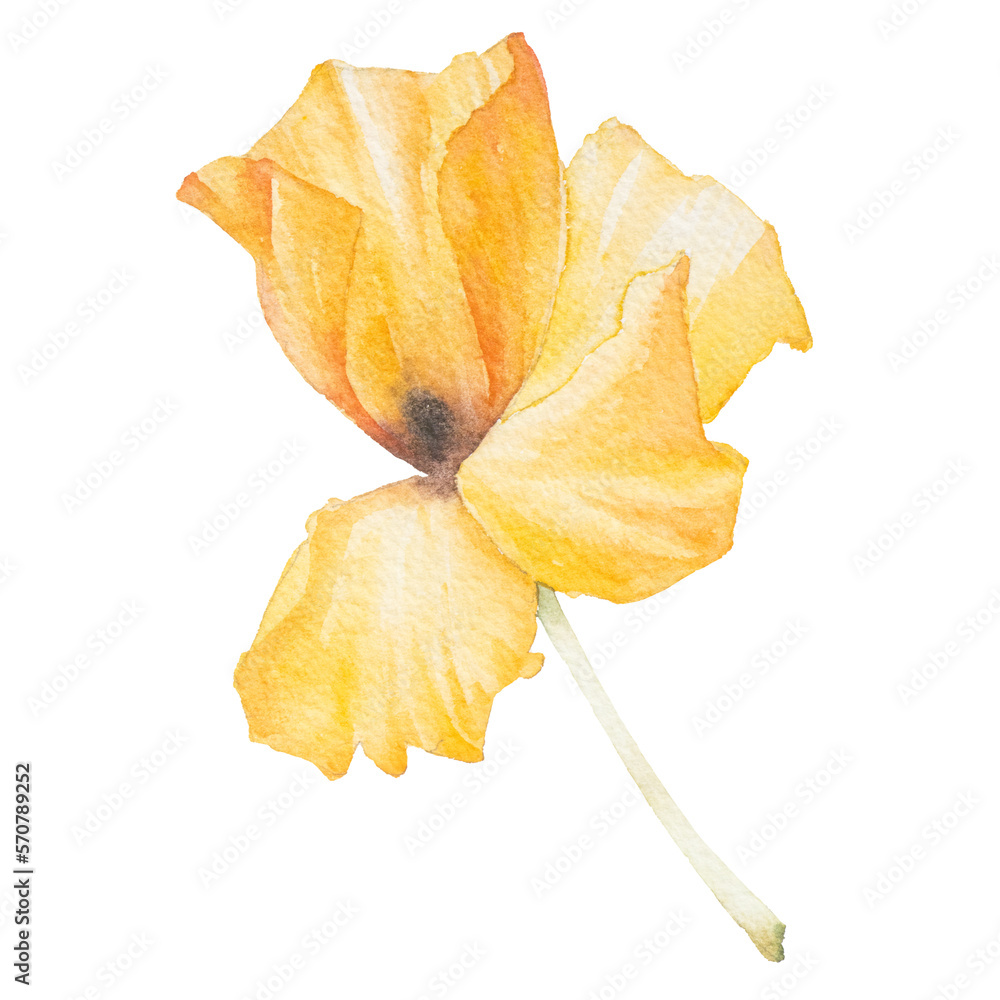 Naklejka premium Yellow flower watercolor