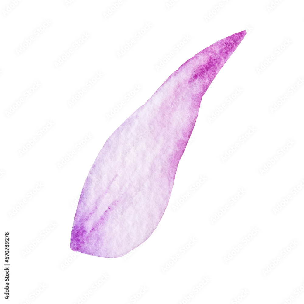 Watercolor flower petals Watercolor flower petals