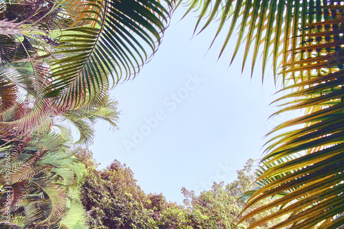 tropical leaves boarder frame in retro colours