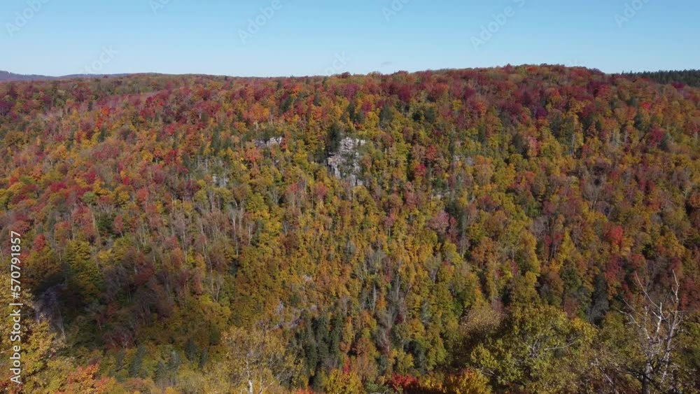 Fall colors in the mountains - West Virginia Fall colors in the mountains - West Virginia