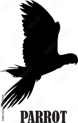 Parrot flying art for t shirt screen isolated on transparent background. Vector illustration png file 