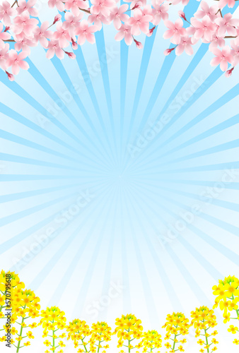 桜　菜の花　春　背景