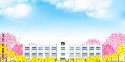 学校　桜　菜の花　背景