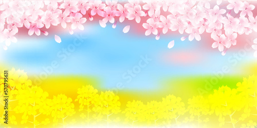 桜　菜の花　春　背景