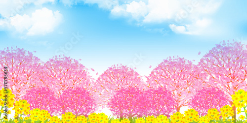 桜　菜の花　春　背景