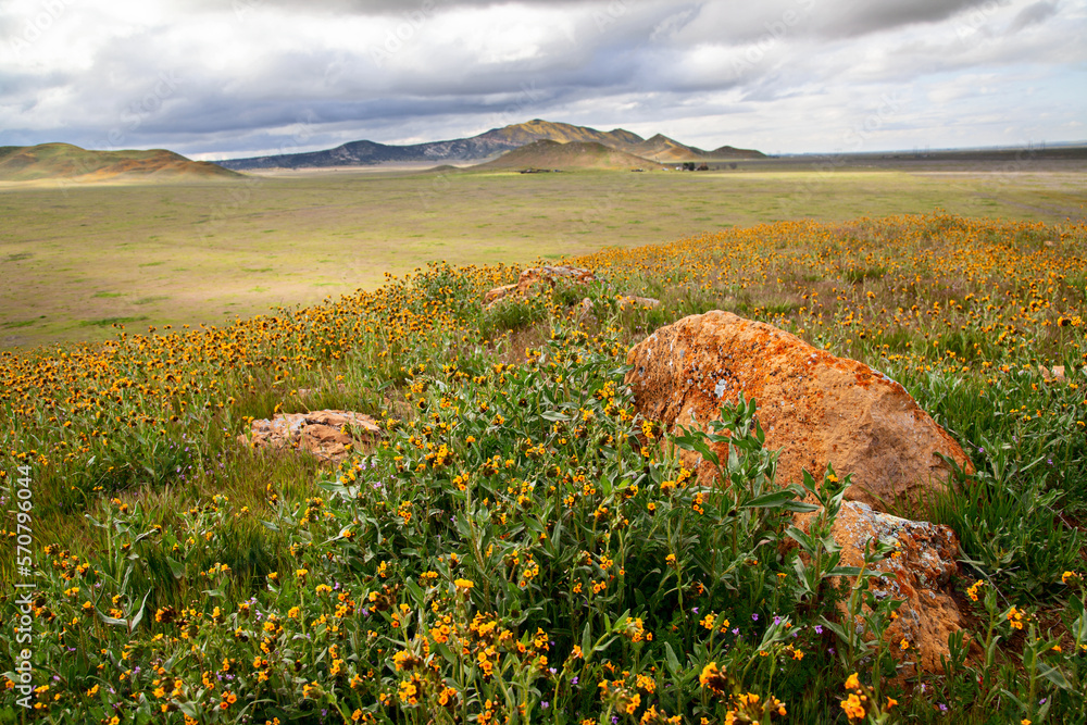 Carrizo Plain National Monument, California