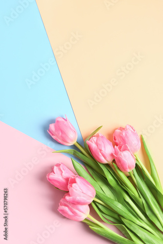 Fototapeta Naklejka Na Ścianę i Meble -  Beautiful tulip flowers on colorful background