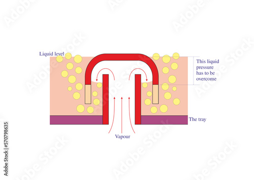 Bubble-Cap Details